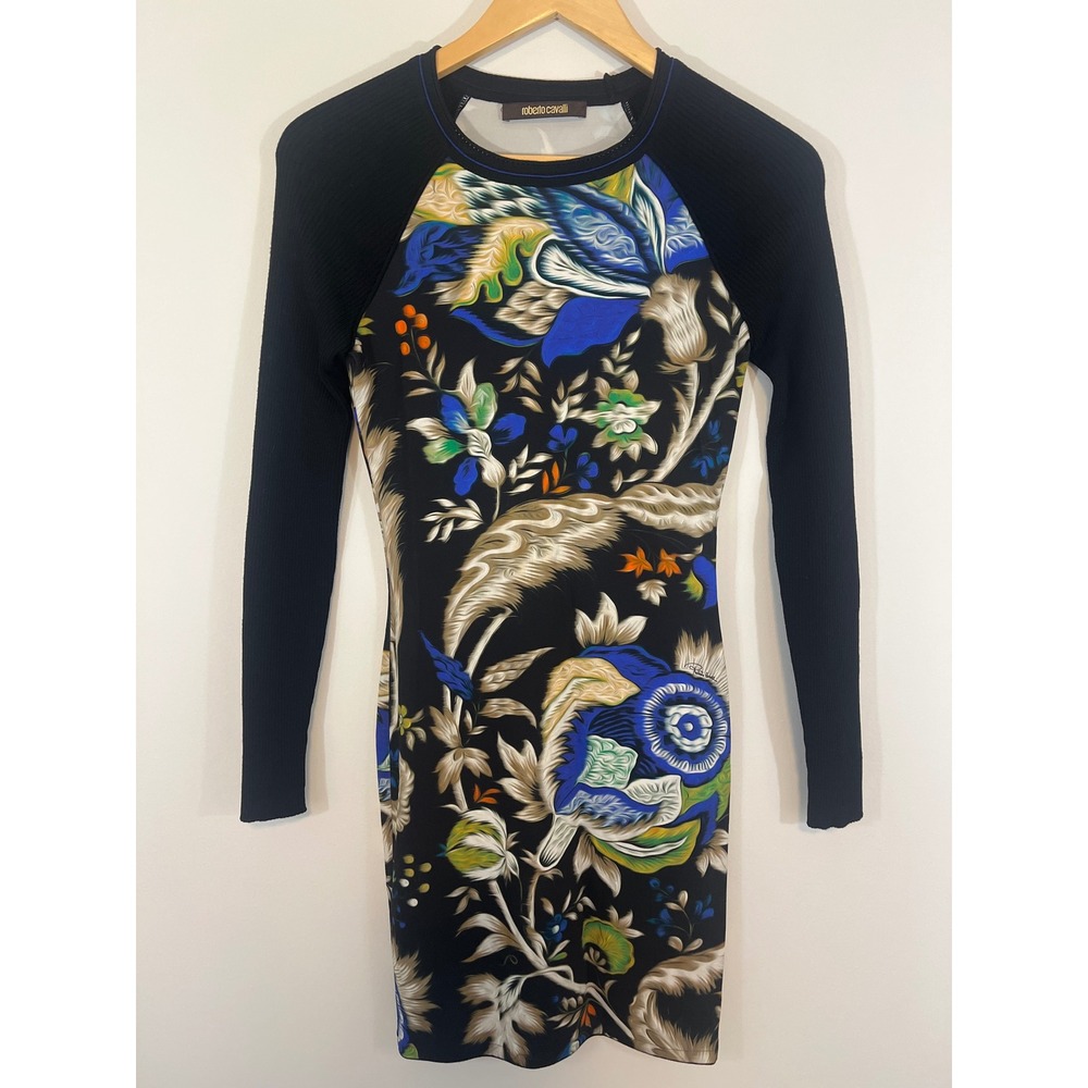 Roberto Cavalli Long Sleeve Floral Print Ribbed Sleeve Dress Size 38 (U.S. 2)